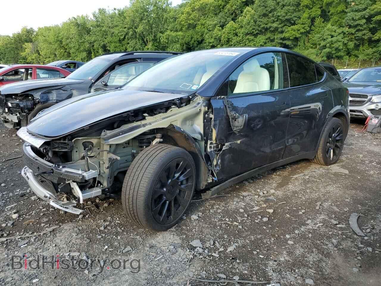 Фотография 7SAYGDEE3RA233282 - TESLA MODEL Y 2024