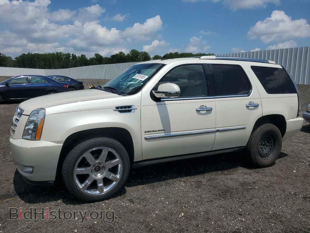 Photo 1GYS4CEF0BR100233 - CADILLAC ESCALADE 2011