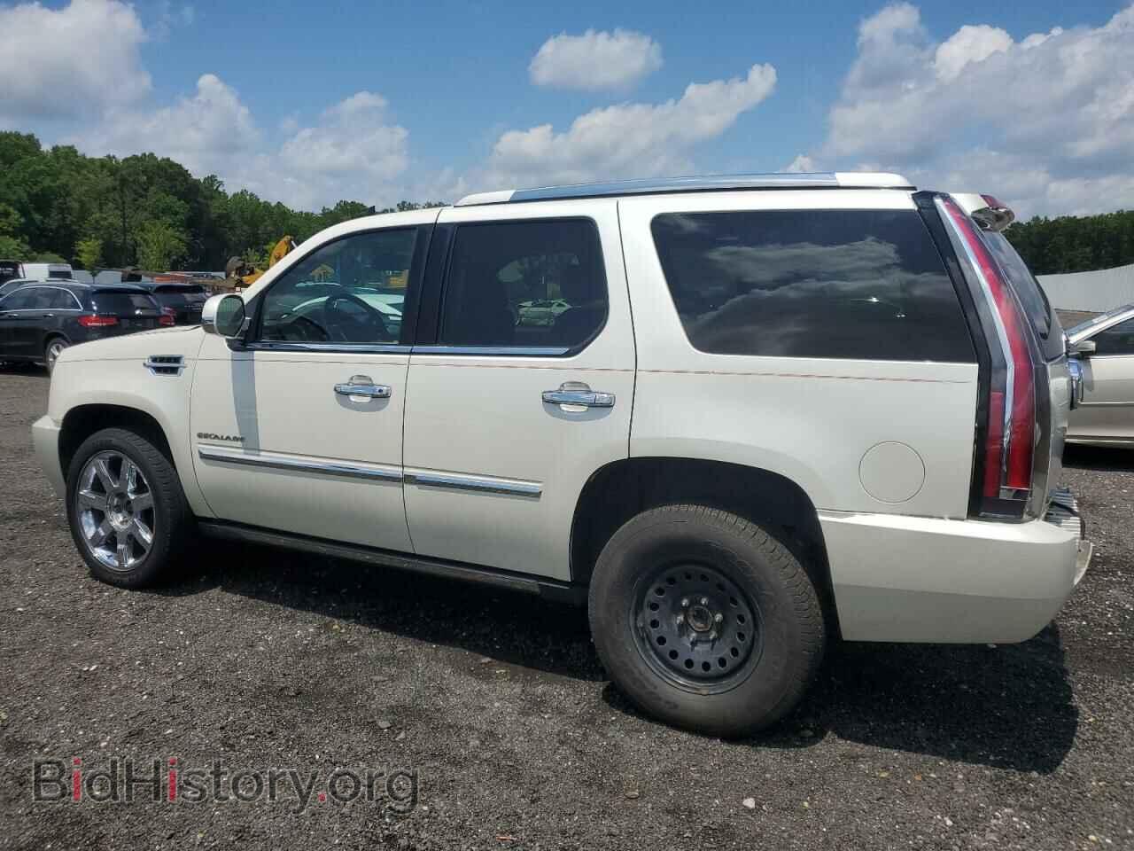 2011 CADILLAC ESCALADE - VIN: 1GYS4CEF0BR100233 - Фото 2