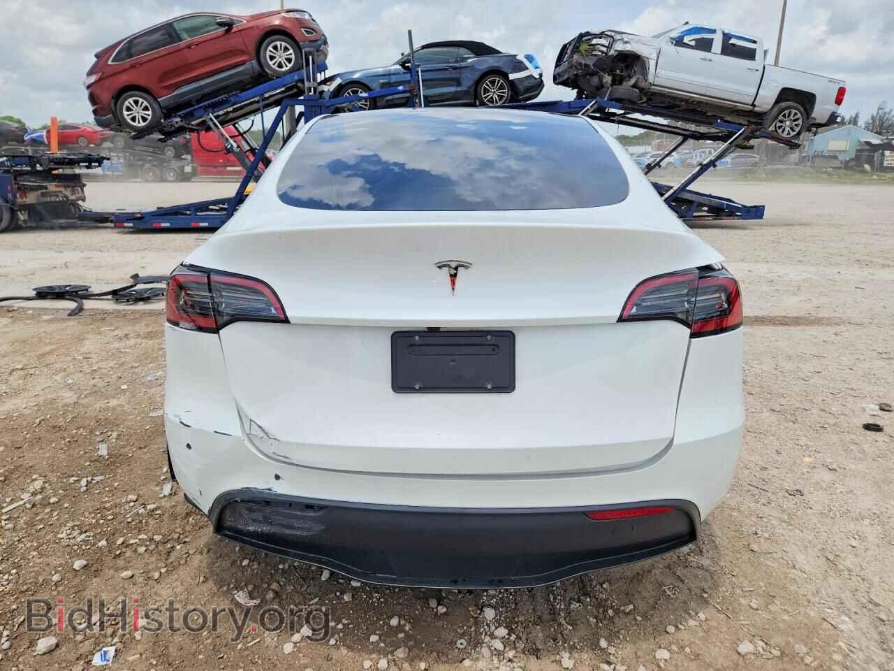 2024 TESLA MODEL Y - VIN: 7SAYGDED3RF195255 - Фото 6