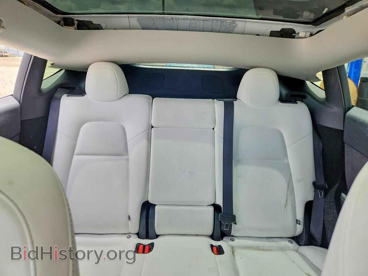 2024 TESLA MODEL Y - VIN: 7SAYGDED3RF195255 - Фото 10