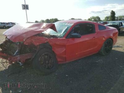 2014 Ford ALL MODELS Mustang, red — VIN 1ZVBP8AM2E5204164, Copart