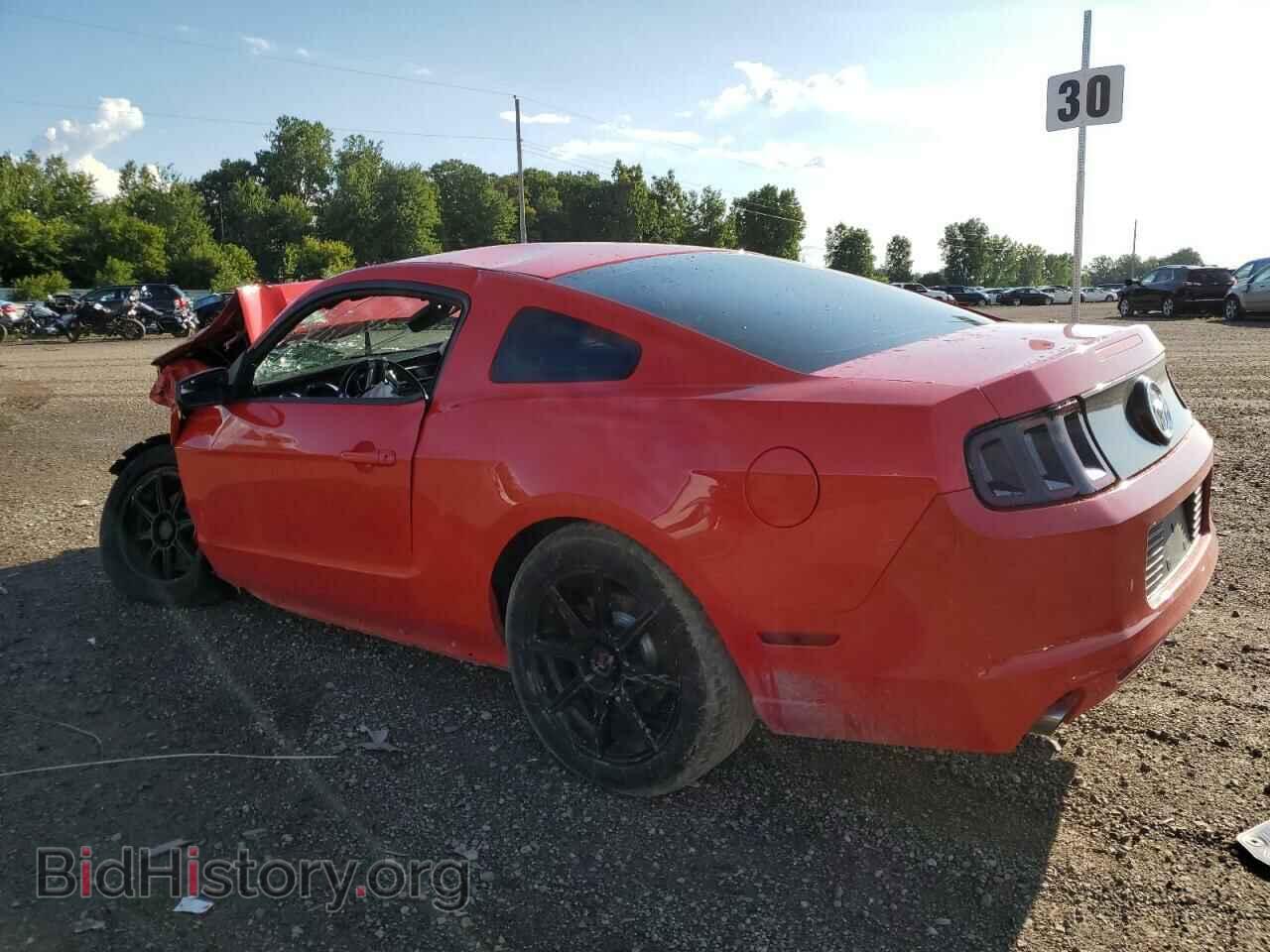 2014 FORD ALL Models - VIN: 1ZVBP8AM2E5204164 - Фото 2