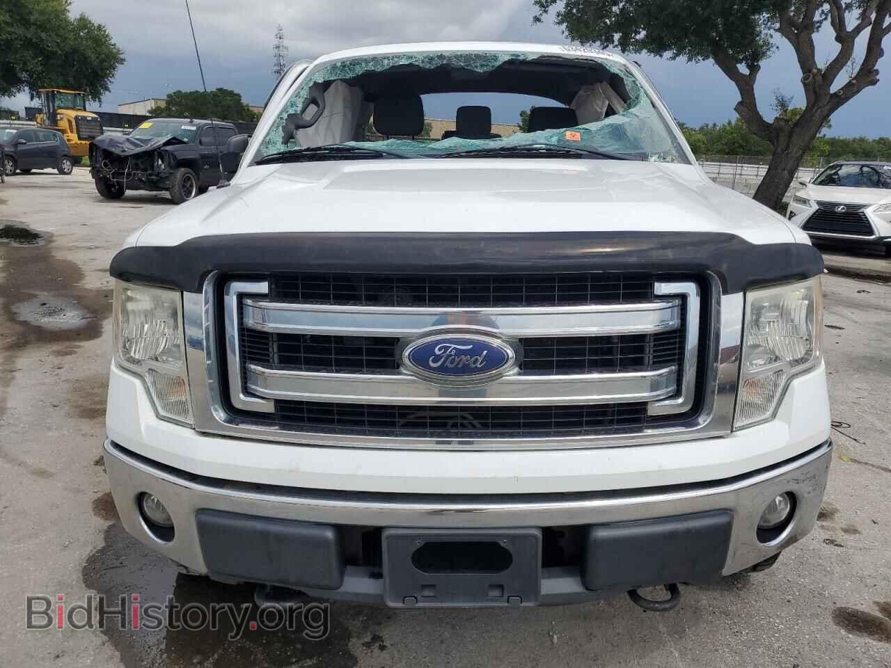2013 FORD F-150 - VIN: 1FTFX1EF0DFA78368 - Фото 5