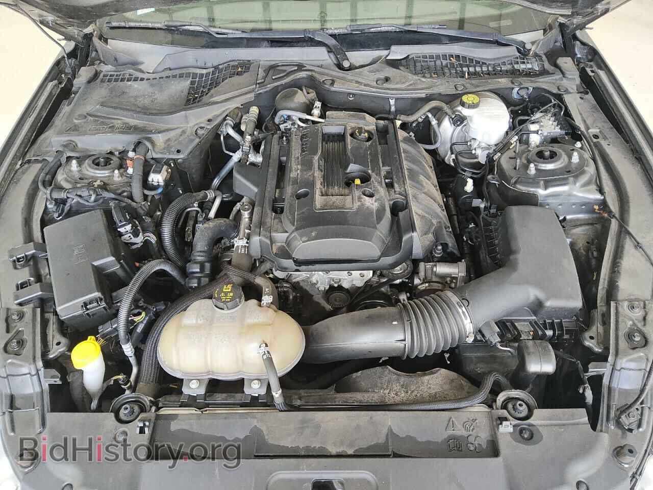 2019 FORD ALL Models - VIN: 1FA6P8TH2K5146627 - Фото 11