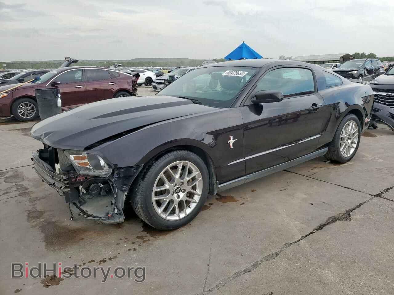Фотография 1ZVBP8AM2C5206445 - FORD ALL Models 2012