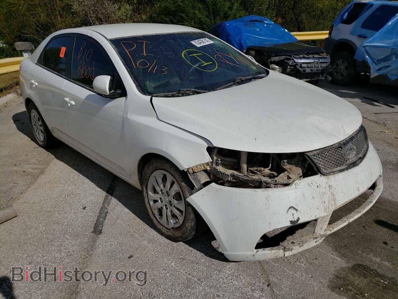 Фотография KNAFT4A24A5062687 - KIA FORTE 2010