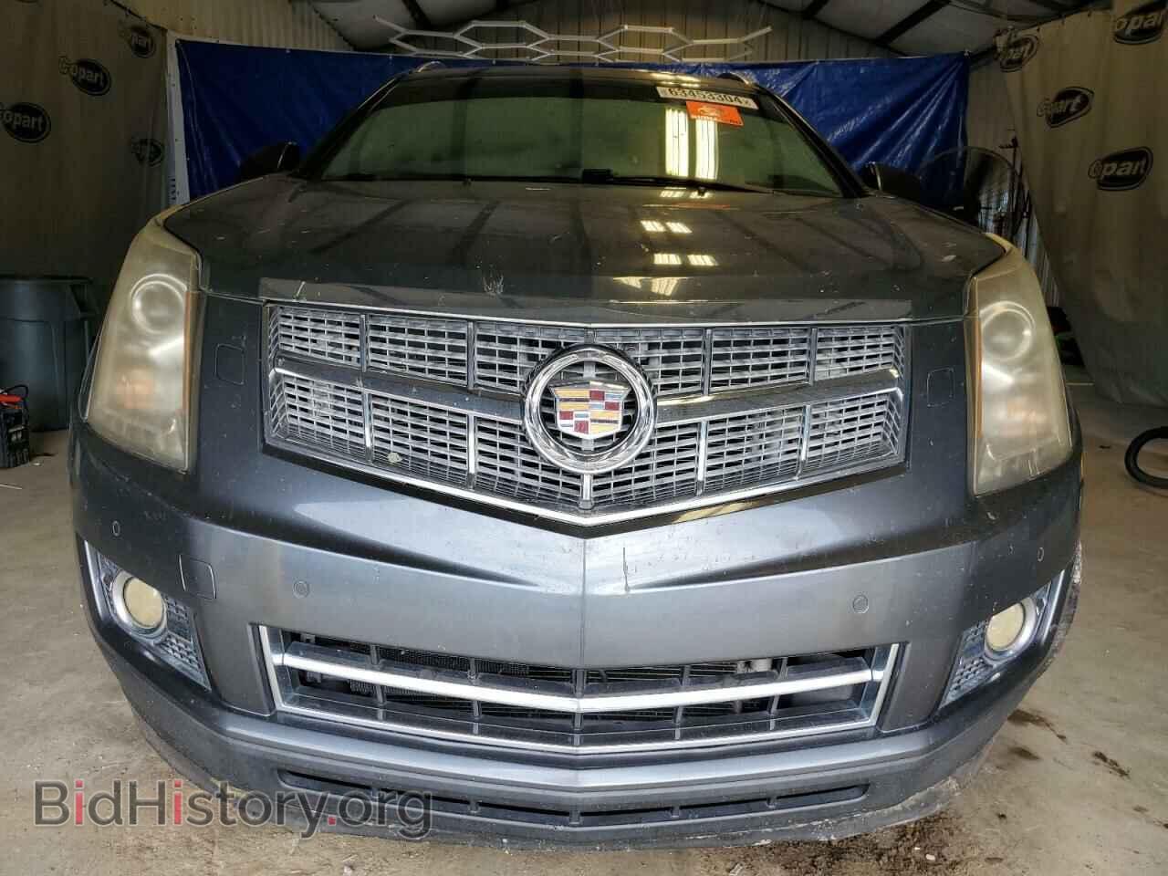 2011 CADILLAC SRX - VIN: 3GYFNBEY7BS519624 - Фото 5