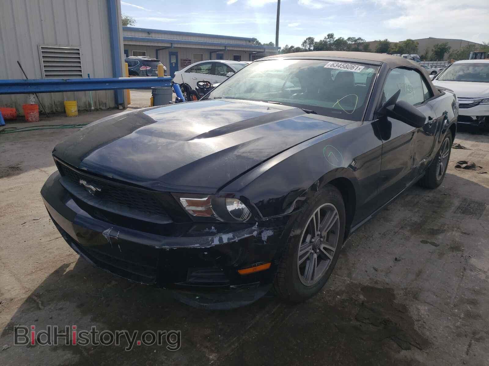 2011 FORD MUSTANG - VIN: 1ZVBP8EM7B5150446 - Фото 2