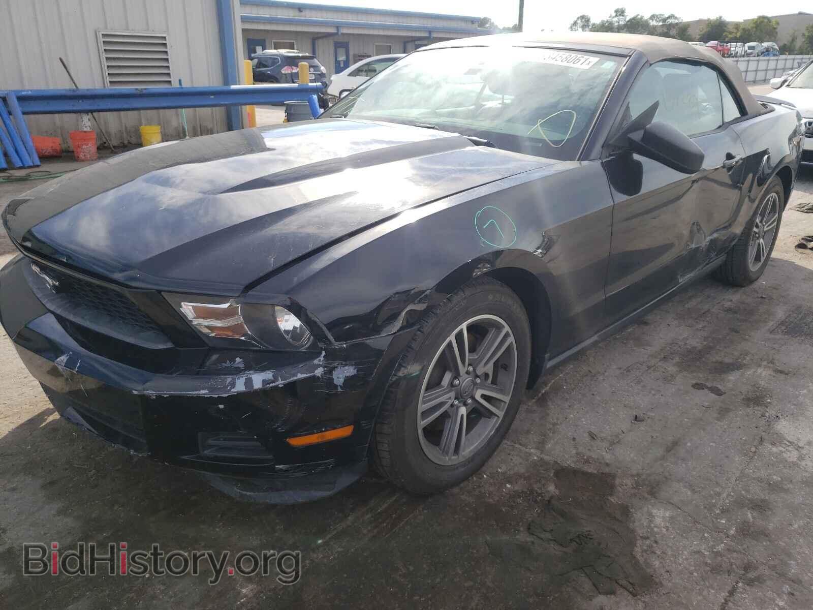2011 FORD MUSTANG - VIN: 1ZVBP8EM7B5150446 - Фото 9