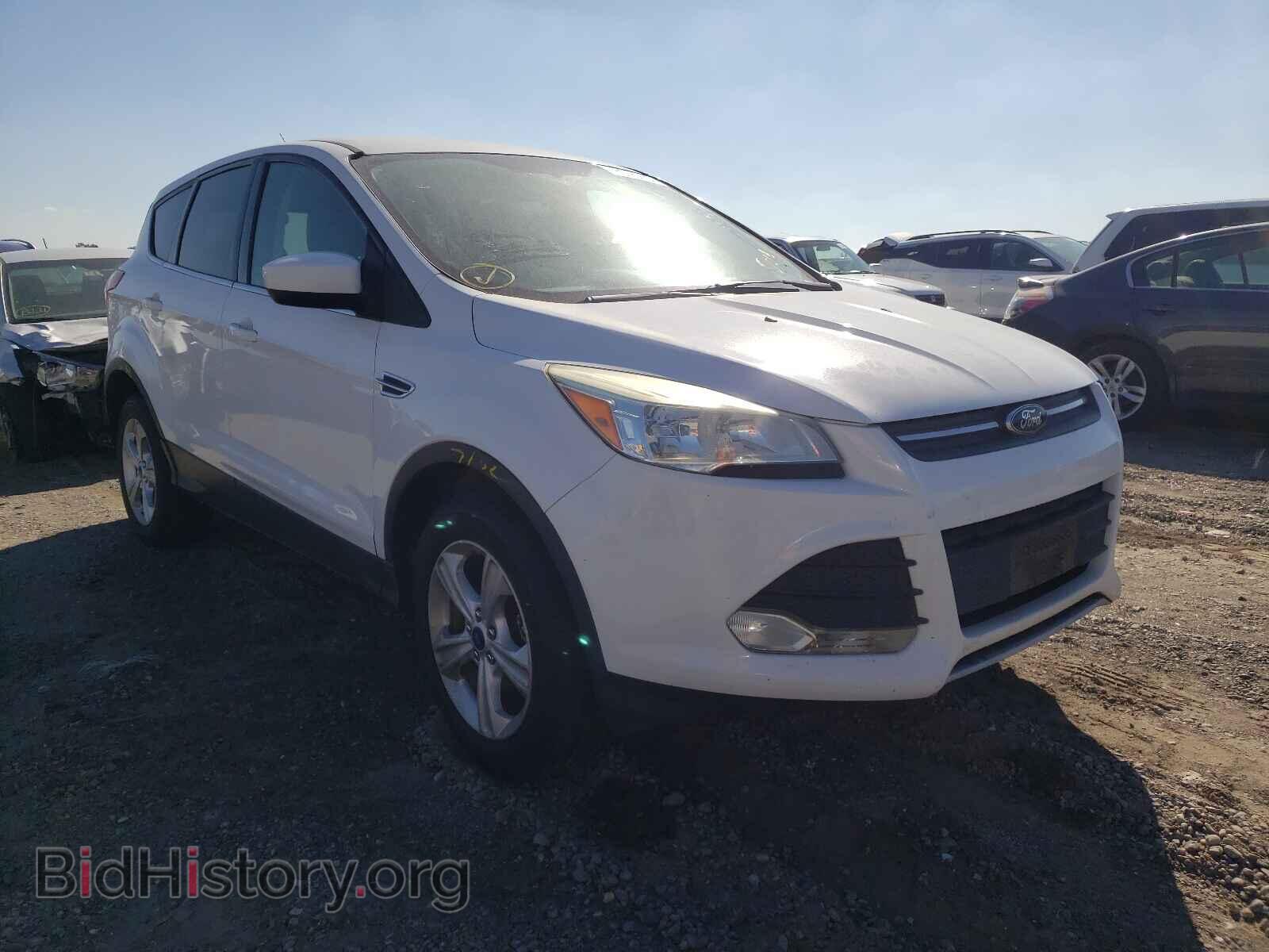 Фотография 1FMCU0GX2DUA94929 - FORD ESCAPE 2013