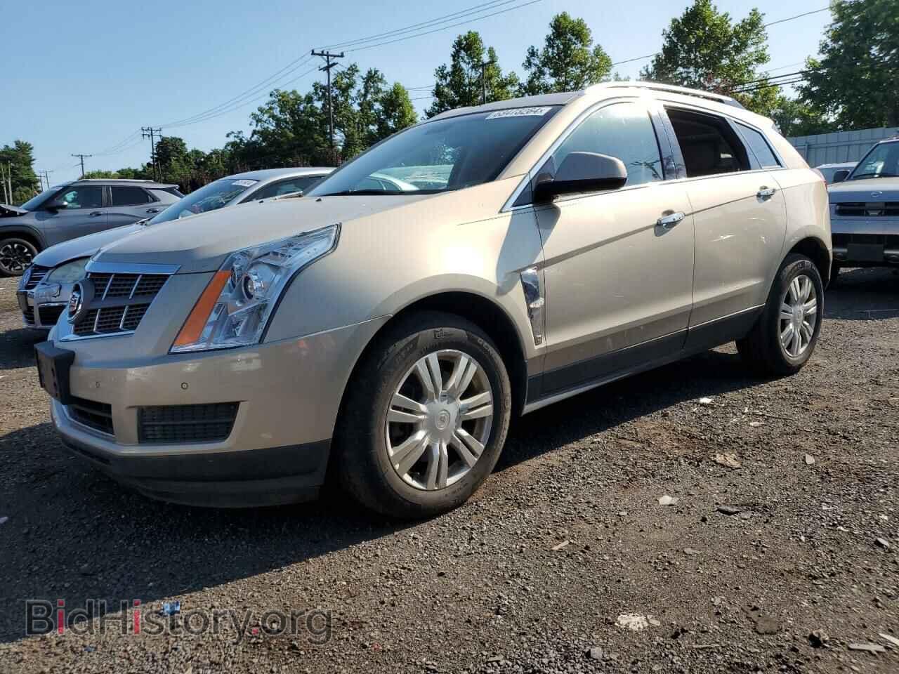 Фотография 3GYFNDEY8BS536203 - CADILLAC SRX 2011