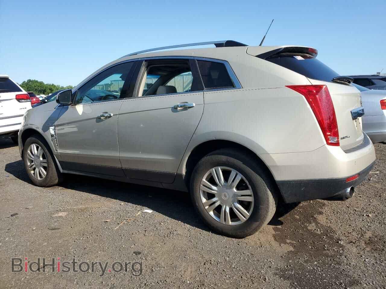 2011 CADILLAC SRX - VIN: 3GYFNDEY8BS536203 - Фото 2