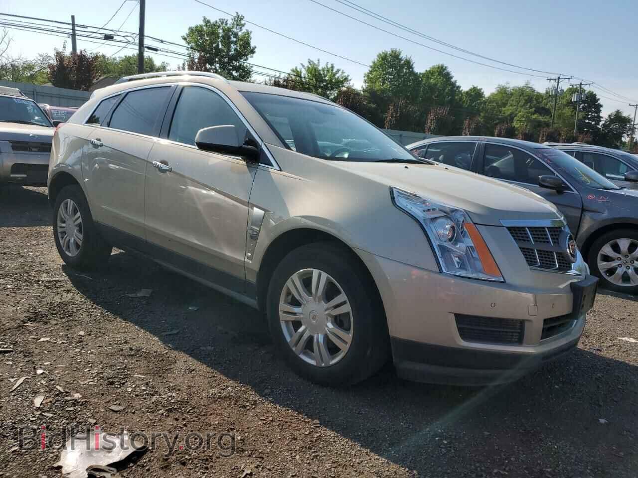 2011 CADILLAC SRX - VIN: 3GYFNDEY8BS536203 - Фото 4
