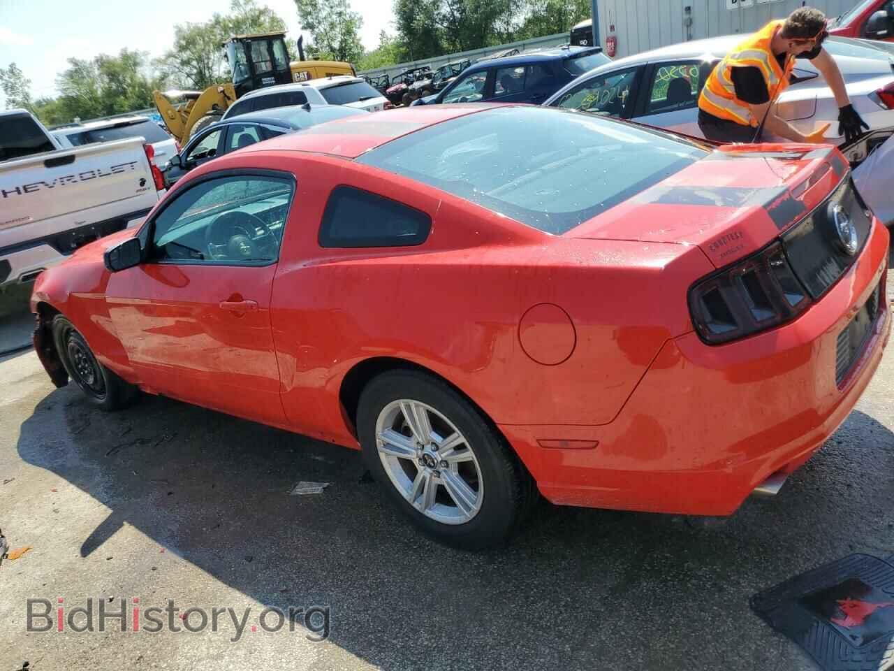 2013 FORD ALL Models - VIN: 1ZVBP8AMXD5280262 - Фото 2