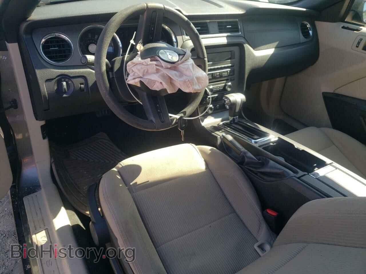 2010 FORD ALL Models - VIN: 1ZVBP8EN3A5122439 - Фото 8