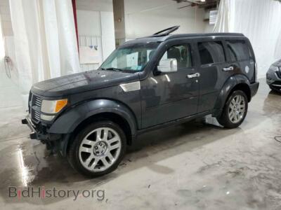2011 Dodge NITRO HEAT, gray — VIN 1D4PU4GX8BW505784, Copart