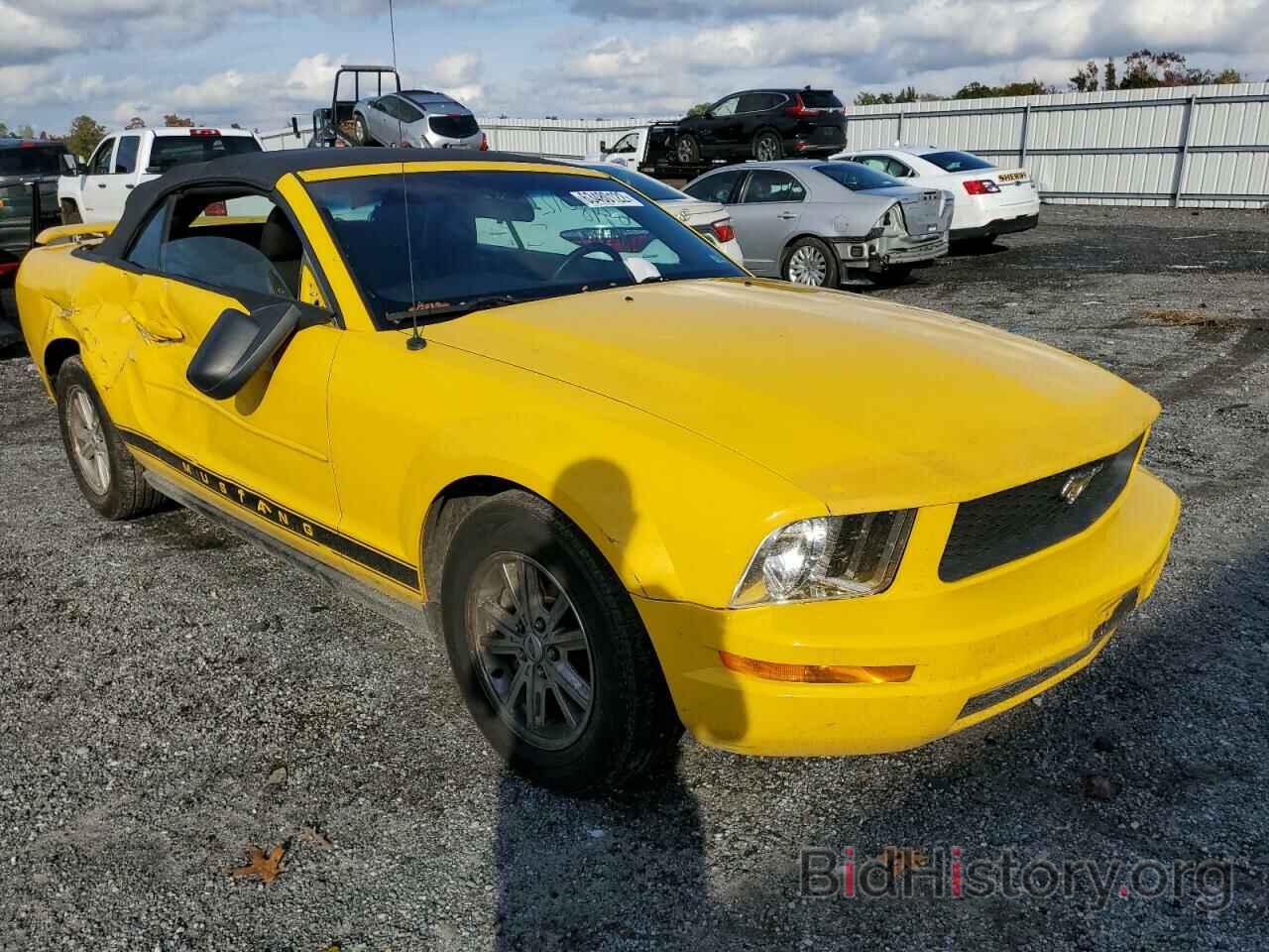 Photo 1ZVFT84N965184885 - FORD MUSTANG 2006
