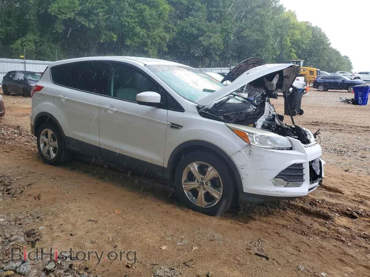 2013 FORD ESCAPE - VIN: 1FMCU0GX4DUD71659 - Фото 4