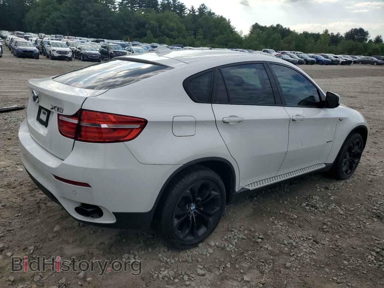 2014 BMW X6 - VIN: 5UXFG2C56E0C43569 - Фото 3