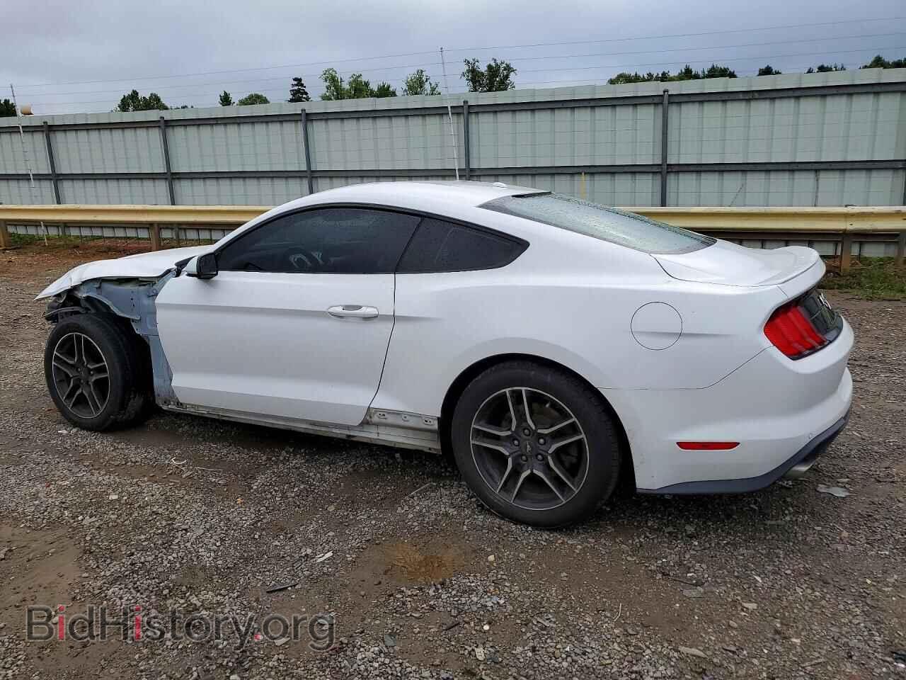 2019 FORD MUSTANG - VIN: 1FA6P8THXK5176359 - Фото 2