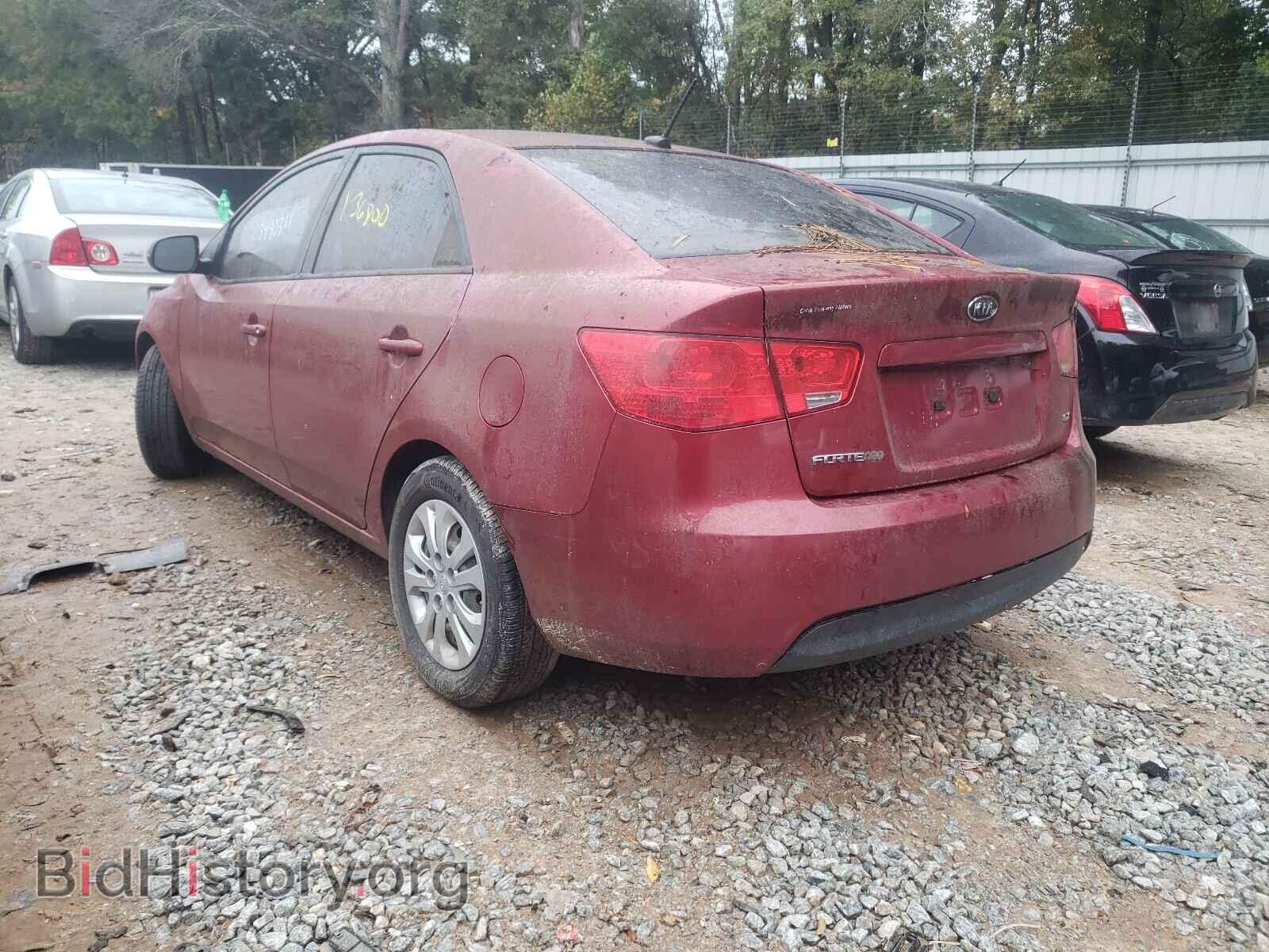 2011 KIA FORTE - VIN: KNAFU4A21B5395850 - Фото 3