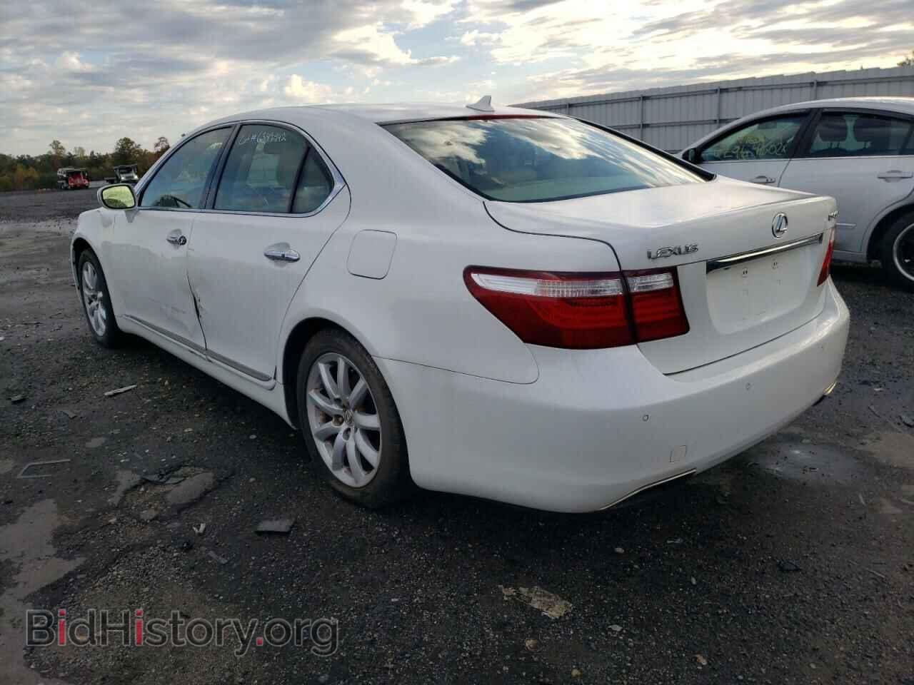 2008 LEXUS LS460 - VIN: JTHBL46F685069923 - Фото 3