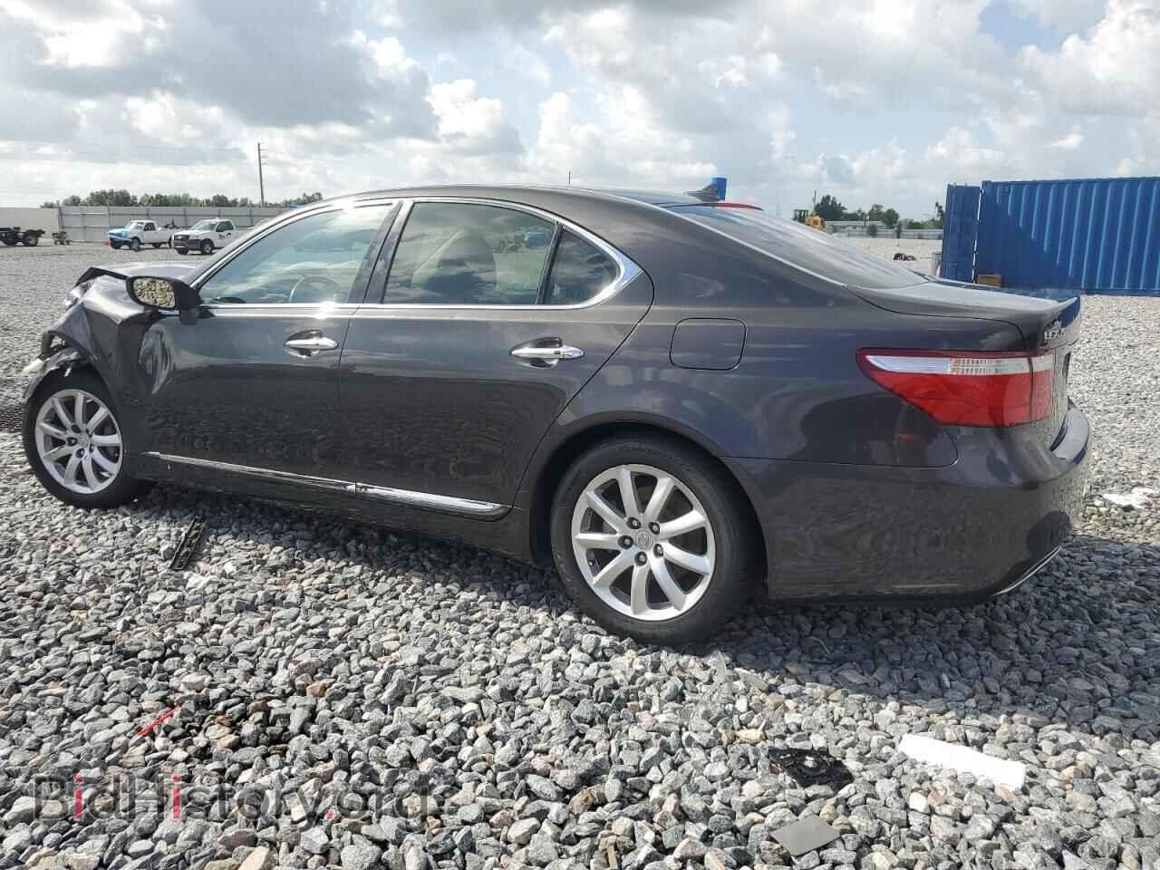 2009 LEXUS LS460 - VIN: JTHBL46F595087976 - Photo 2