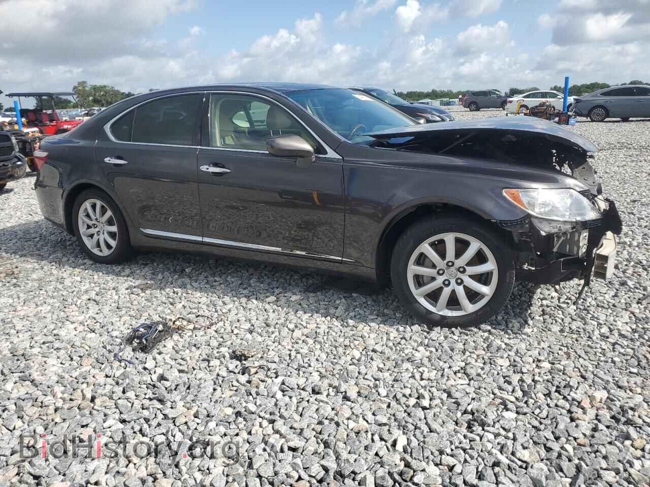 2009 LEXUS LS460 - VIN: JTHBL46F595087976 - Photo 4
