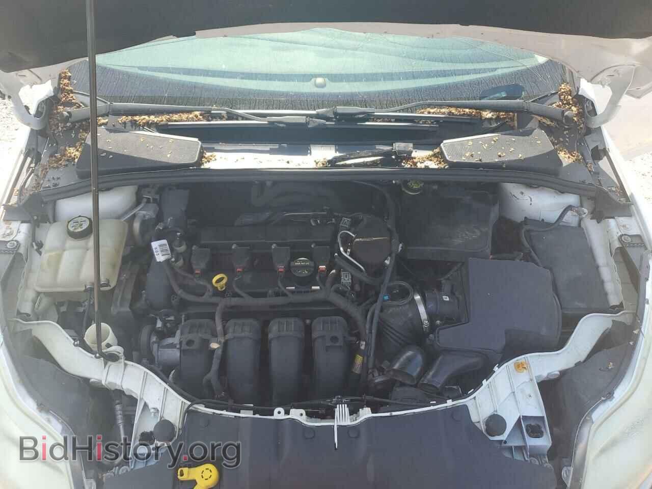 2013 FORD FOCUS - VIN: 1FADP3F24DL112561 - Фото 11