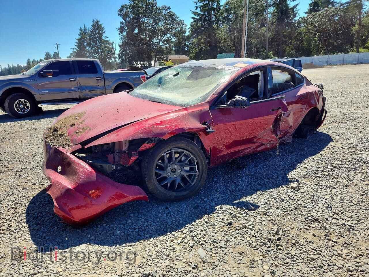 Photo 5YJ3E1EB2RF811988 - TESLA MODEL 3 2024