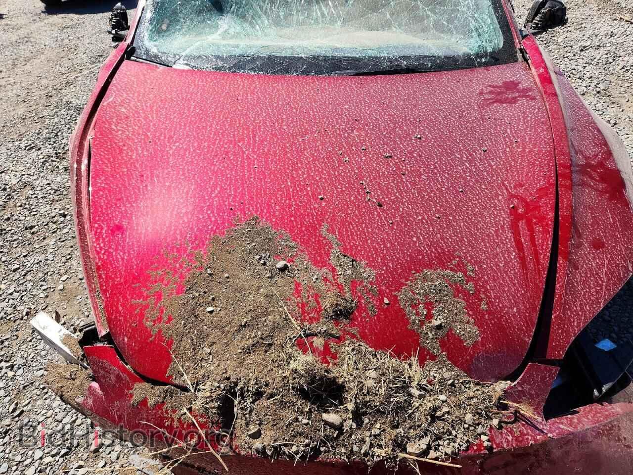 2024 TESLA MODEL 3 - VIN: 5YJ3E1EB2RF811988 - Photo 11