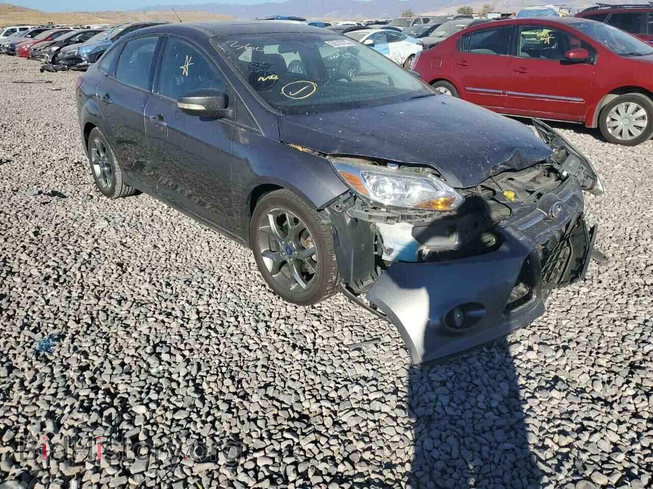 Photo 1FADP3F20DL163748 - FORD FOCUS 2013