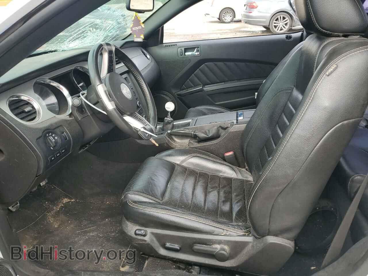 2010 FORD MUSTANG - VIN: 1ZVBP8CH3A5139092 - Фото 7
