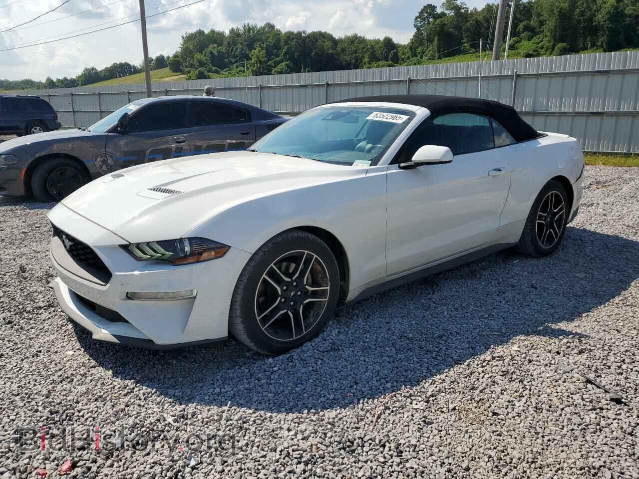 Photo 1FATP8UH9N5106356 - FORD ALL Models 2022