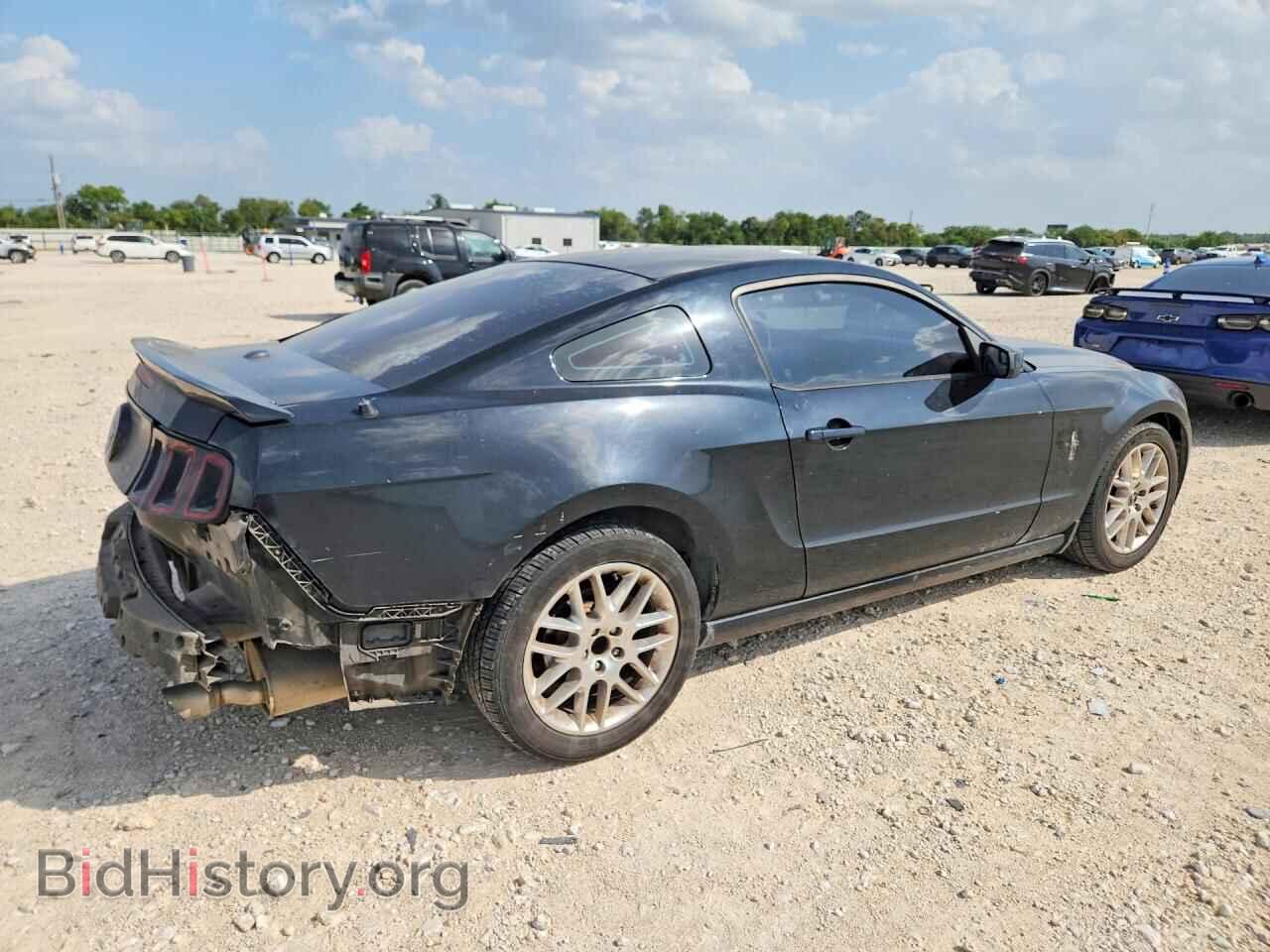 2013 FORD MUSTANG - VIN: 1ZVBP8AM3D5249709 - Фото 3