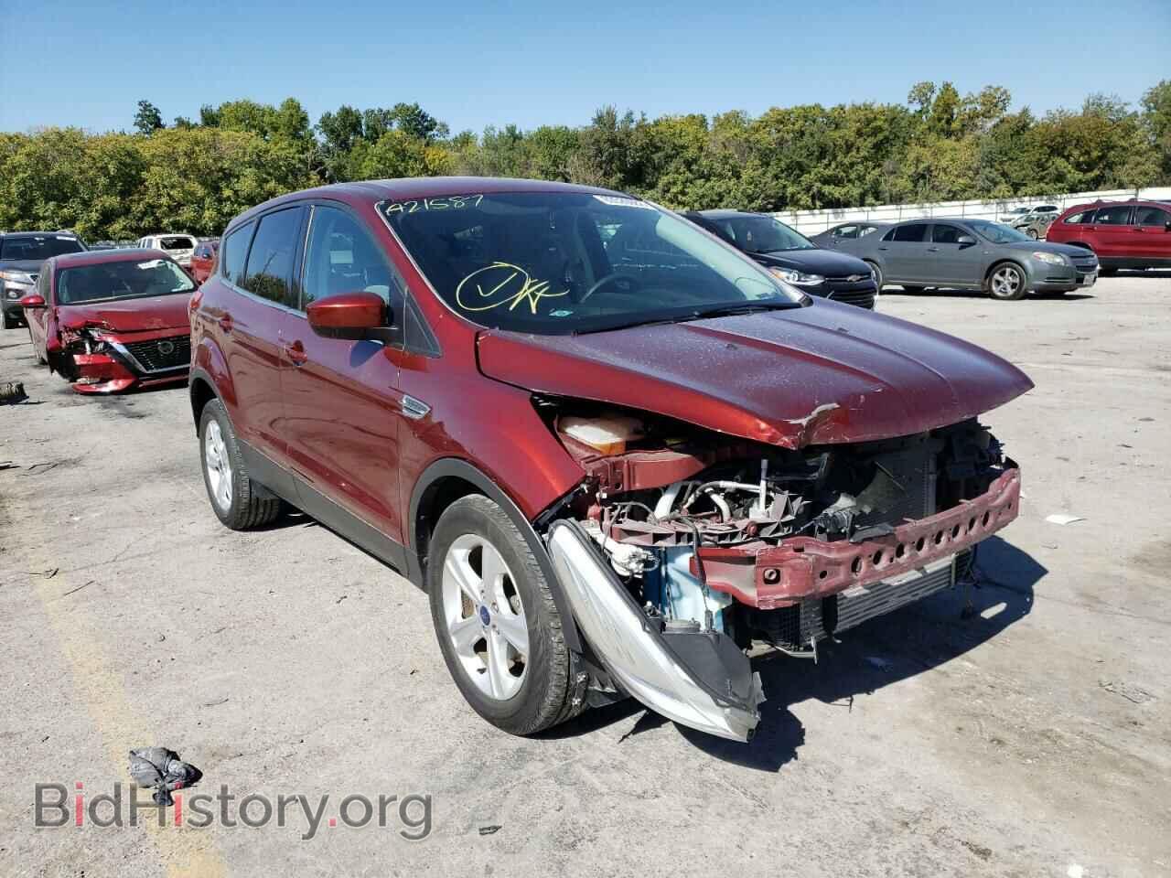 Фотография 1FMCU0GX7EUA21587 - FORD ESCAPE 2014