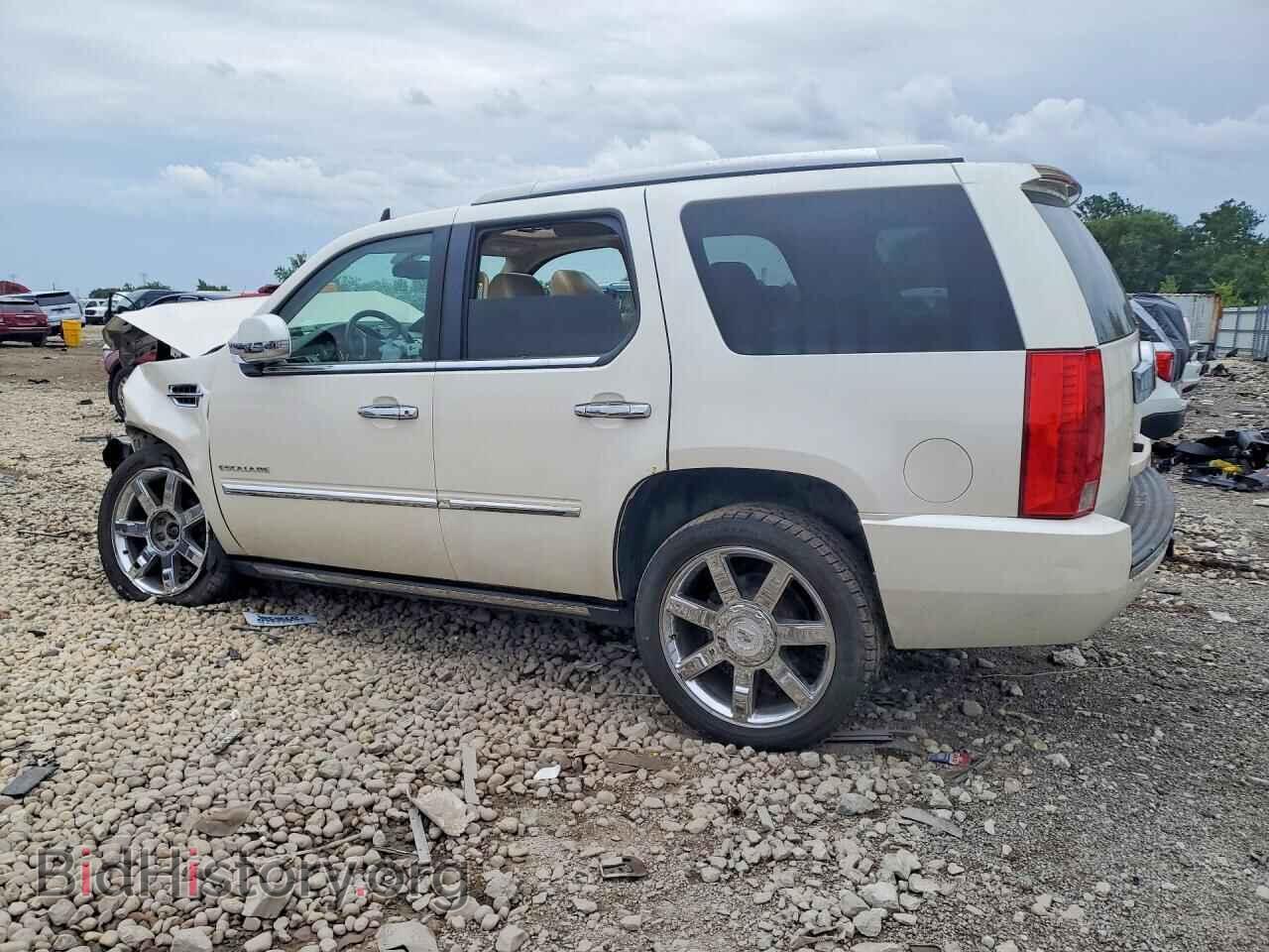 2011 CADILLAC ESCALADE - VIN: 1GYS4CEF2BR216839 - Photo 2