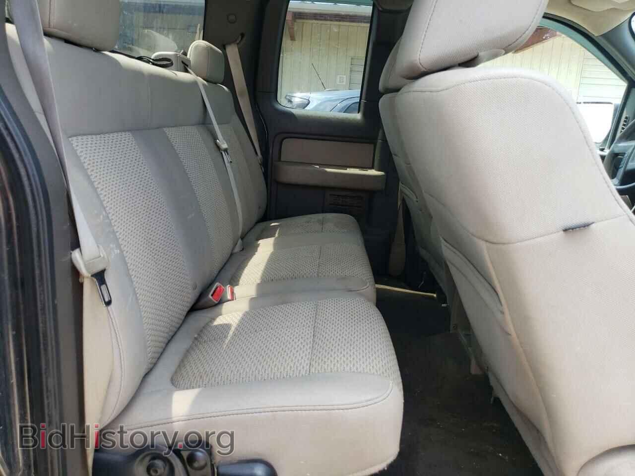 2010 FORD F-150 - VIN: 1FTFX1EV3AFC37760 - Фото 10