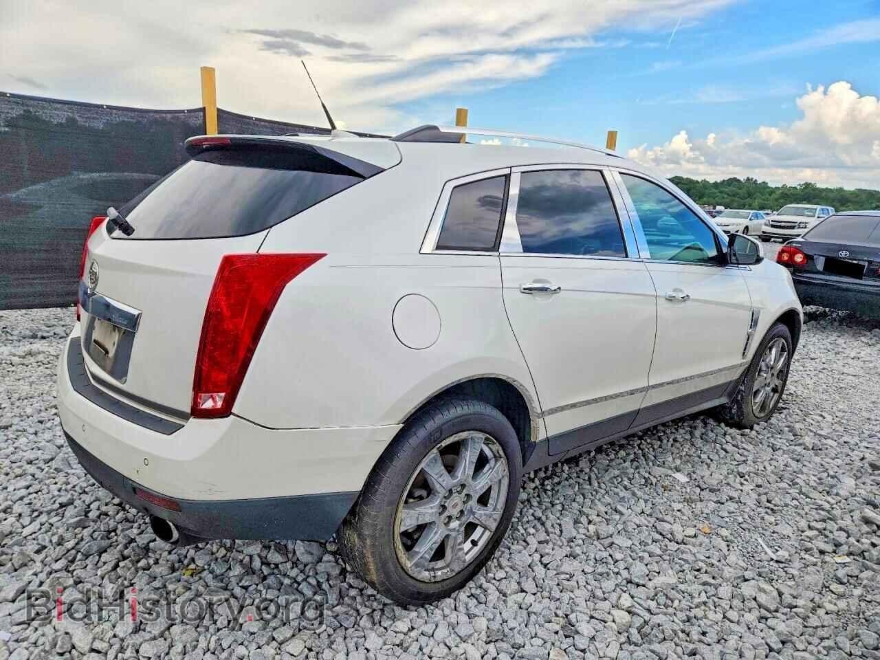 2011 CADILLAC SRX - VIN: 3GYFNBEY8BS514769 - Фото 3