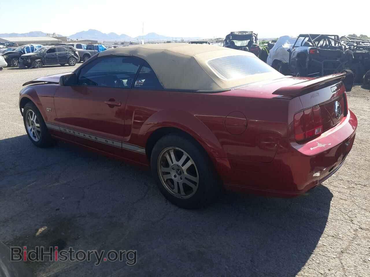 2006 FORD MUSTANG - VIN: 1ZVHT85H565234263 - Фото 2