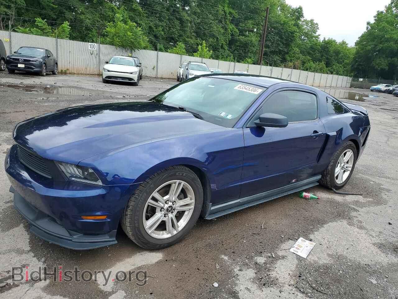 Фотография 1ZVBP8AN8A5137220 - FORD MUSTANG 2010