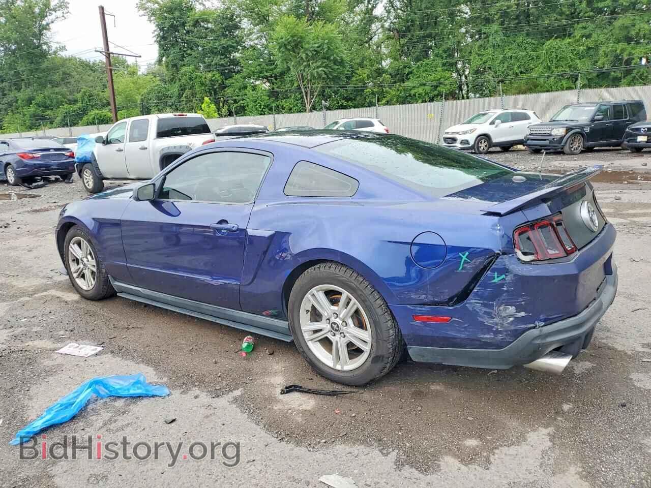 2010 FORD MUSTANG - VIN: 1ZVBP8AN8A5137220 - Фото 2