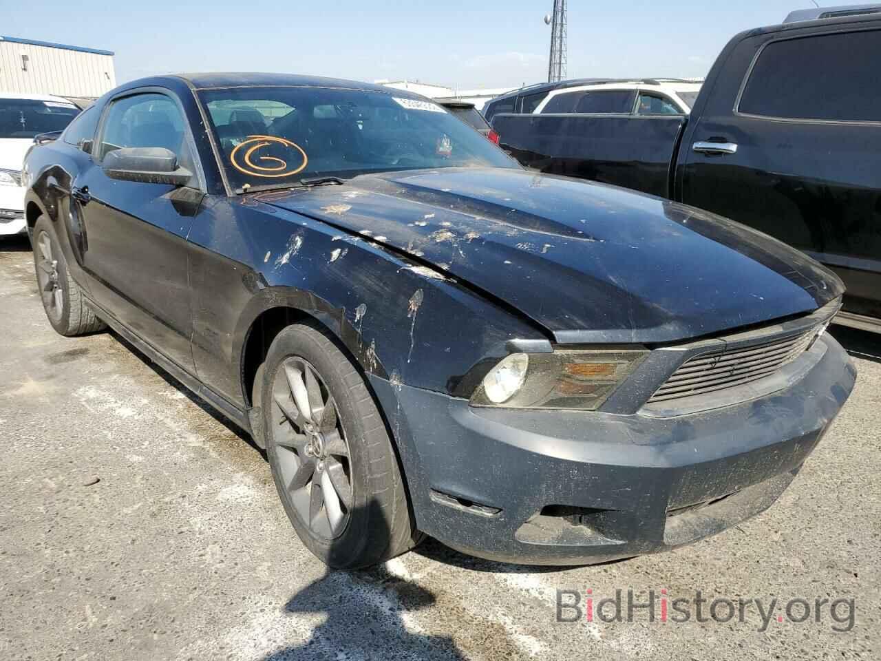 Photo 1ZVBP8AM9C5262334 - FORD MUSTANG 2012