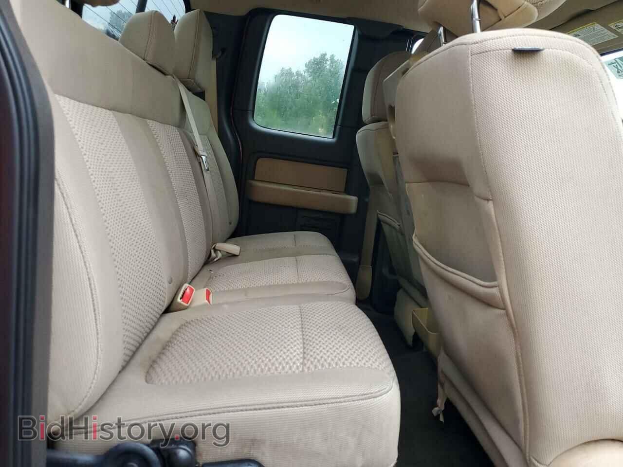2013 FORD F-150 - VIN: 1FTFX1CF4DFA86556 - Фото 10