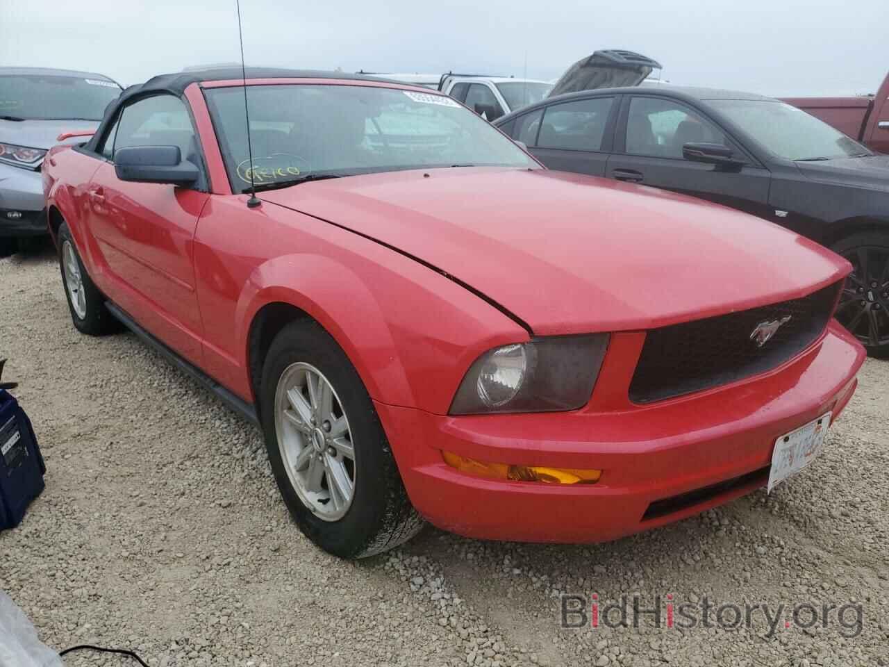 Photo 1ZVFT84N965234992 - FORD MUSTANG 2006