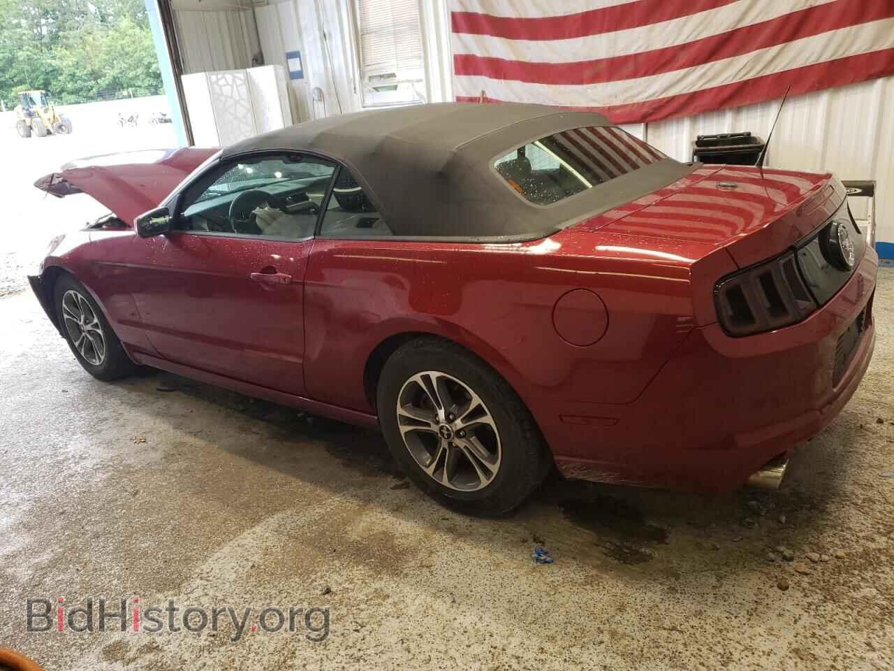 2014 FORD ALL Models - VIN: 1ZVBP8EM4E5240030 - Фото 2