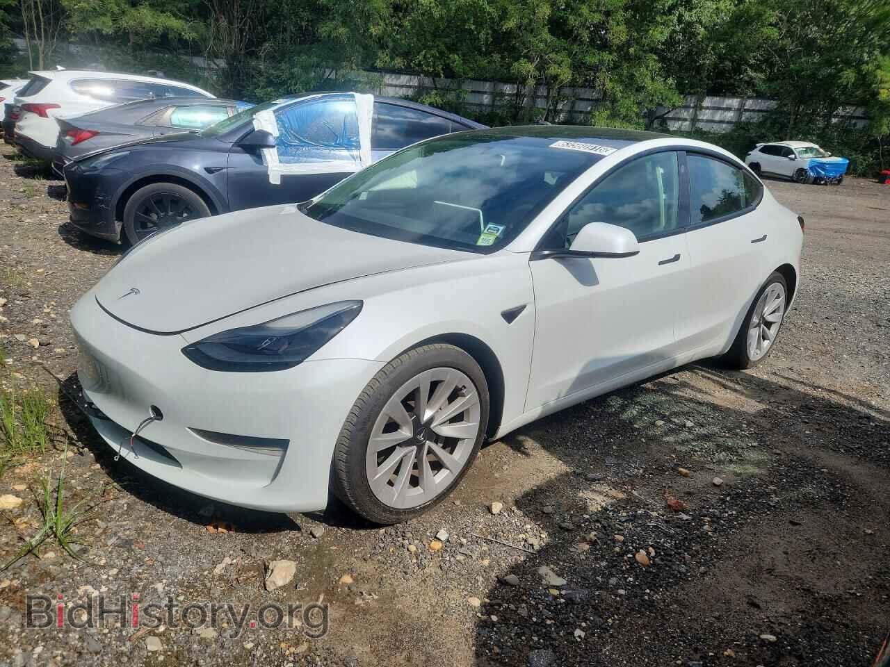 Photo 5YJ3E1EA2MF053344 - TESLA MODEL 3 2021
