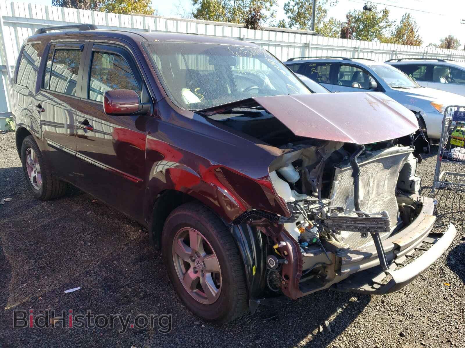 Photo 5FNYF4H50BB099125 - HONDA PILOT 2011