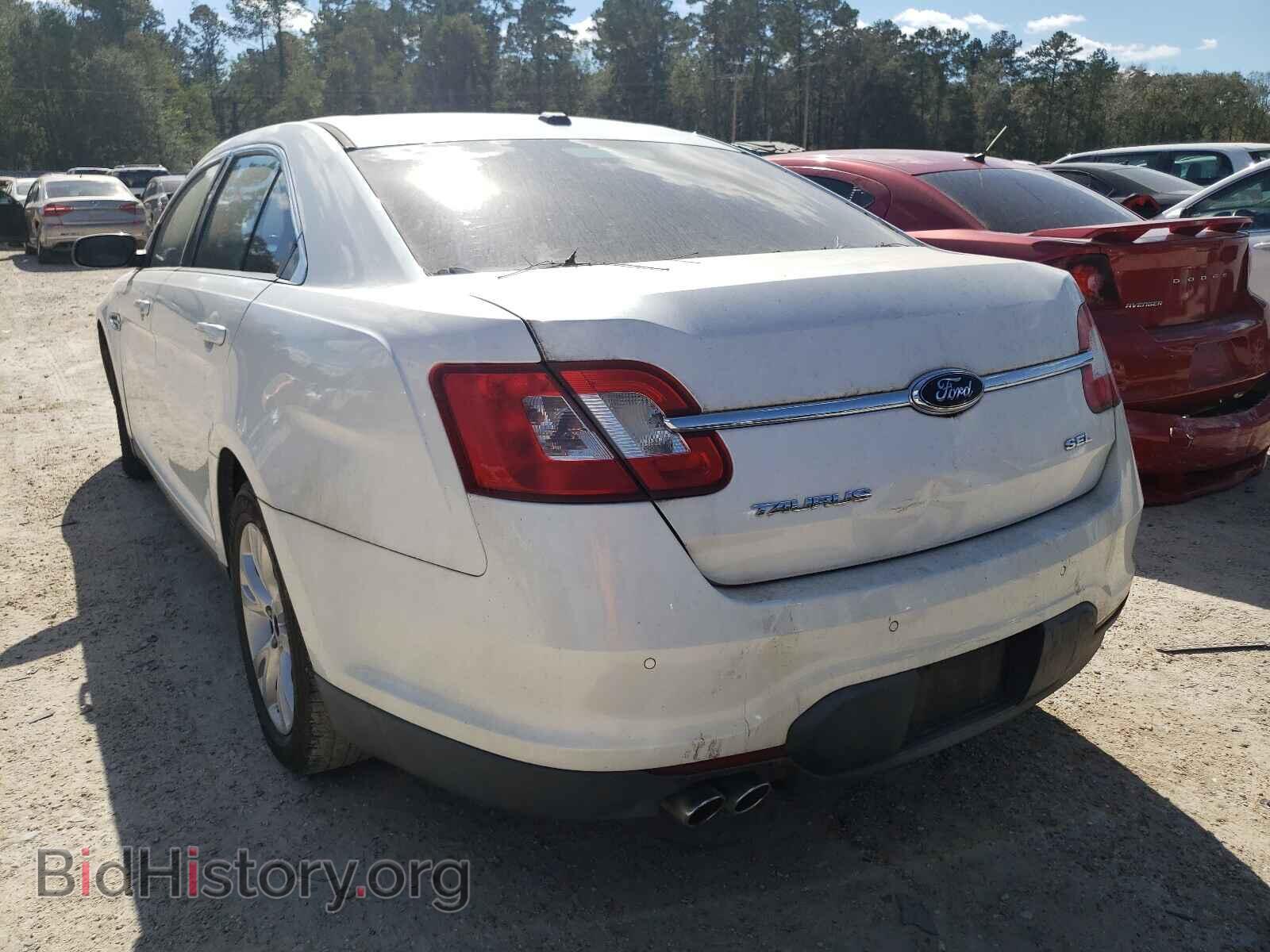 2010 FORD TAURUS - VIN: 1FAHP2EW8AG128184 - Фото 3